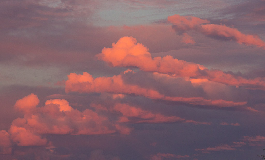 Pink Cloud Moon 3