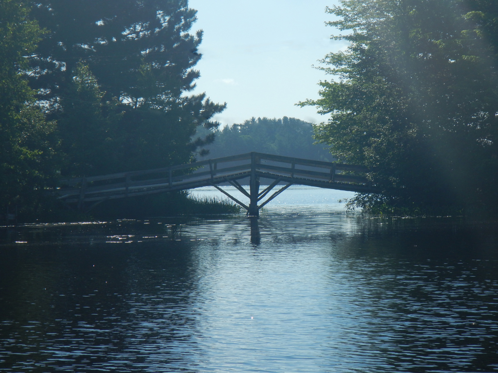Arching Bridge